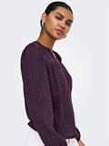 ONLILSE L/S V-NECK TOP JRS plum perfect