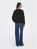 ONLJENNA L/S O-NECK EMB. BOX SWT black