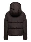 ONLJUTA SHORT PUFFER OTW NOOS chocolate torte