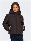 ONLJUTA SHORT PUFFER OTW NOOS chocolate torte