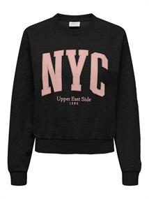 ONLLANEY L/S NEW YORK O-NECK BOX SWT black