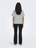 ONLLIVINA S/S STRIPE TEE JRS NOOS jadeite
