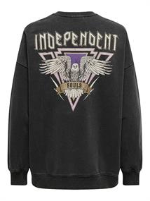 ONLLUCINDA L/S TAMED O-NECK BOX SWT black