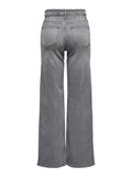 ONLMADISON BLUSH HW WID DNM REA0938 NOOS light grey denim