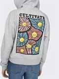 ONLMIE HOOD CS SWT light grey melange