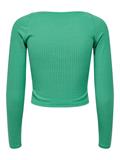 ONLNELLA L/S HEART CROPPED TOP JRS winter green