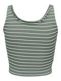 ONLNESSA S/L SHORT STRIPE TOP JRS lily pad