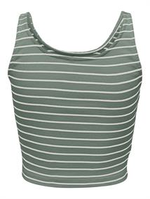 ONLNESSA S/L SHORT STRIPE TOP JRS lily pad
