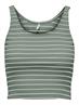 ONLNESSA S/L SHORT STRIPE TOP JRS lily pad