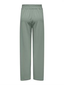 ONLNEW KLARA-EVI LIFE HW STR PANT CC TLR lily pad