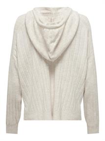 ONLNEW TESSA LS HOOD DETAIL PUL NOOS KNT hellgrau