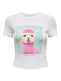 ONLPENNY S/S ANIMAL TOP BOX JRS bright white3
