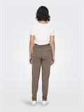 ONLPOPTRASH LIFE EASY COL PANT PNT NOOS fossil