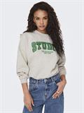 ONLRIA L/S O-NECK SWT light grey melange