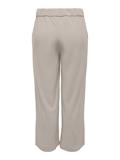ONLSANIA BUTTON ANKLE PANT JRS chateau gray