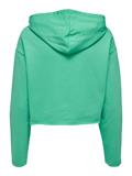 ONLSARAH UNB EMB HOOD SWEATSHIRT CS NN marine green