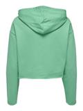 ONLSARAH UNB EMB HOOD SWEATSHIRT CS NN marine green