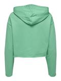 ONLSARAH UNB EMB HOOD SWEATSHIRT CS NN marine green