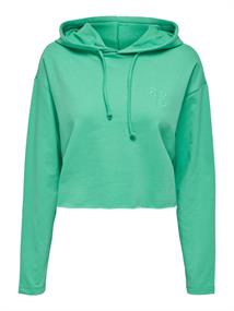 ONLSARAH UNB EMB HOOD SWEATSHIRT CS NN marine green