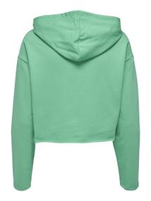 ONLSARAH UNB EMB HOOD SWEATSHIRT CS NN marine green
