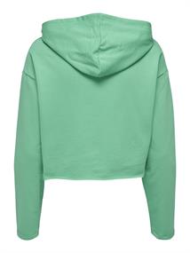 ONLSARAH UNB EMB HOOD SWEATSHIRT CS NN marine green