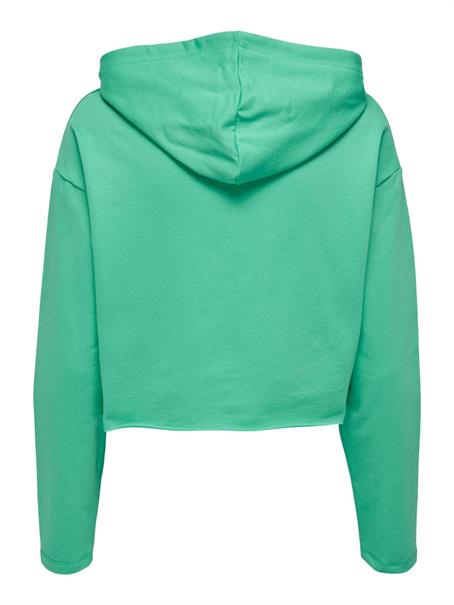 ONLSARAH UNB EMB HOOD SWEATSHIRT CS NN marine green