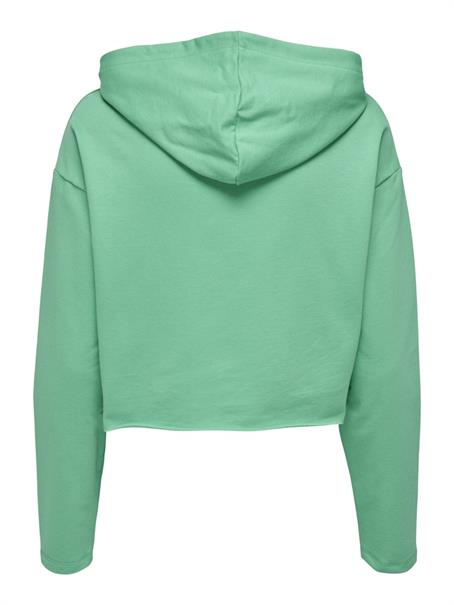 ONLSARAH UNB EMB HOOD SWEATSHIRT CS NN marine green