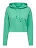 ONLSARAH UNB EMB HOOD SWEATSHIRT CS NN marine green