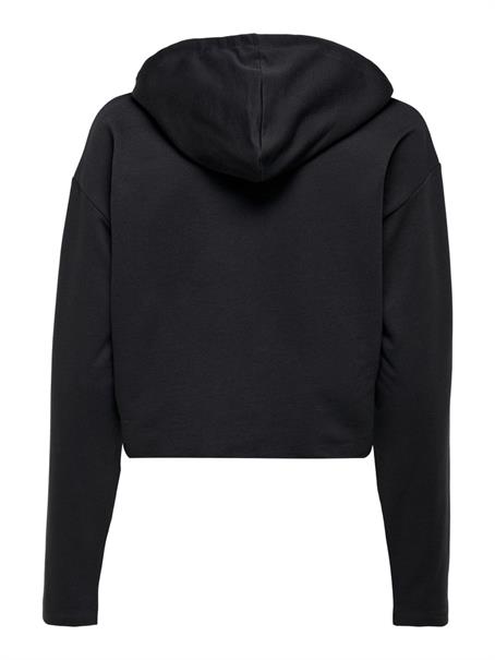 ONLSARAH UNB EMB HOOD SWEATSHIRT CS NN phantom