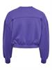 ONLSCARLETT L/S CROPPED O-NECK SWT deep blue
