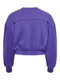 ONLSCARLETT L/S CROPPED O-NECK SWT deep blue