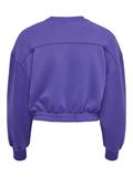 ONLSCARLETT L/S CROPPED O-NECK SWT deep blue