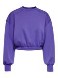 ONLSCARLETT L/S CROPPED O-NECK SWT deep blue