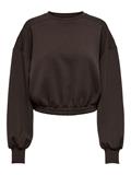 ONLSCARLETT L/S CROPPED O-NECK SWT hot fudge