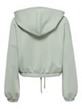 ONLSCARLETT L/S ZIP HOOD SWT NOOS lily pad