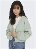 ONLSCARLETT L/S ZIP HOOD SWT NOOS lily pad