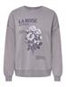 ONLSINNA L/S O-NECK PRINT BOX SWT gray ridge