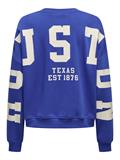 ONLSWEAT L/S BACK/SLEEVE PRINT SWT NOOS surf the web