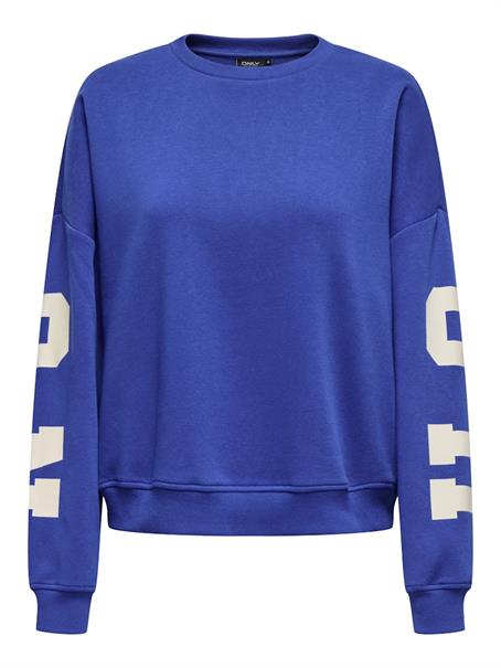 ONLSWEAT L/S BACK/SLEEVE PRINT SWT NOOS surf the web