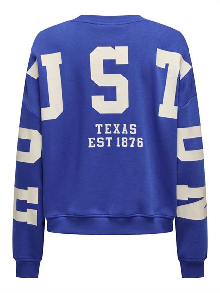 ONLSWEAT L/S BACK/SLEEVE PRINT SWT NOOS surf the web