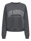 ONLSWEAT LIFE L/S CREW O.SIZE STATE NOOS ombre blue