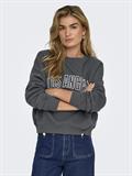 ONLSWEAT LIFE L/S CREW O.SIZE STATE NOOS ombre blue