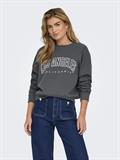 ONLSWEAT LIFE L/S CREW O.SIZE STATE NOOS ombre blue