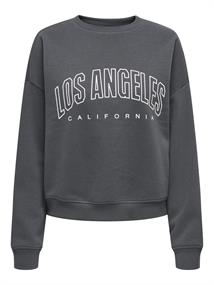 ONLSWEAT LIFE L/S CREW O.SIZE STATE NOOS ombre blue