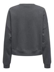 ONLSWEAT LIFE L/S CREW O.SIZE STATE NOOS ombre blue