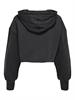 ONLZOEY LS DREAMER CROPPED HOOD NN phantom