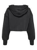 ONLZOEY LS DREAMER CROPPED HOOD NN phantom