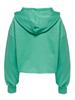 ONLZOEY LS DREAMER CROPPED HOOD NN winter green