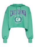 ONLZOEY LS DREAMER CROPPED HOOD NN winter green