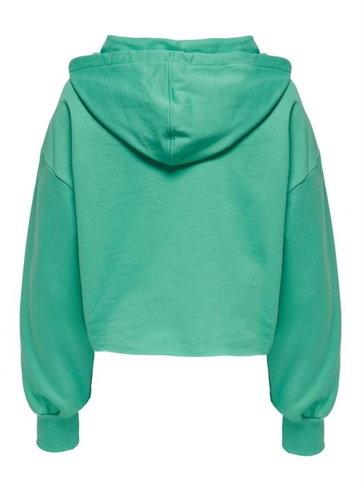 onlzoey-ls-dreamer-cropped-hood-nn-winter-green